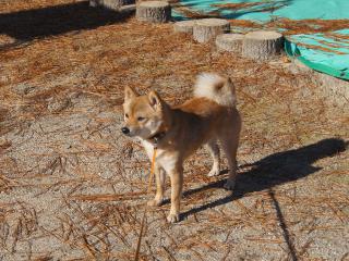 DSC07949.jpg