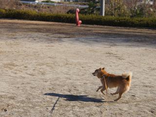 DSC07954.jpg