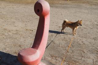 DSC07955.jpg