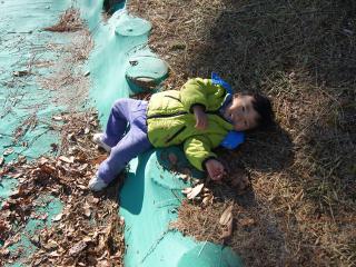 DSC07969.jpg