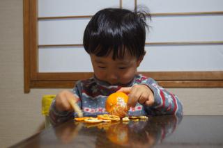 DSC07983.jpg