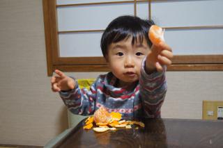 DSC07984.jpg