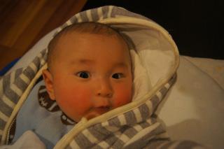 DSC07995.jpg