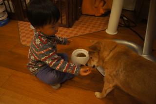 DSC07997.jpg