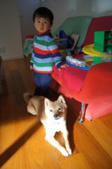 DSC08007.jpg
