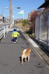 DSC08014.jpg