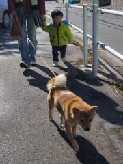 DSC08020.jpg