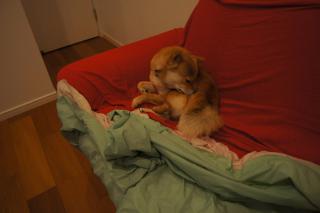 DSC08030.jpg