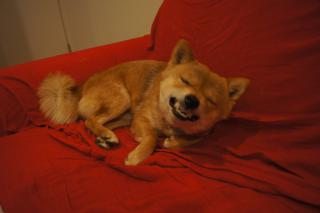 DSC08033.jpg