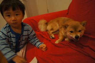 DSC08036.jpg