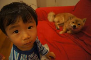 DSC08038.jpg