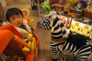 DSC08053.jpg