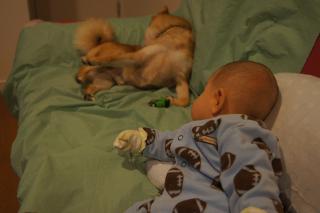DSC08054.jpg