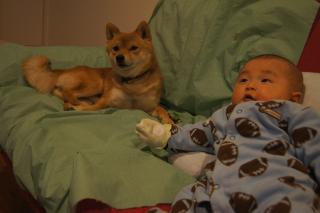 DSC08055.jpg