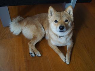 DSC08106.jpg