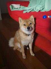 DSC08112.jpg