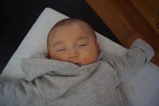 DSC08113.jpg