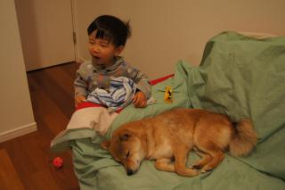 DSC08124.jpg