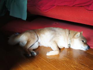 DSC08150.jpg