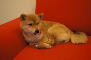DSC09645.jpg