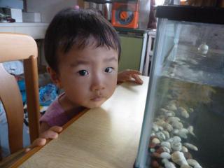 P1020049.jpg