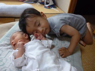 P1020103.jpg