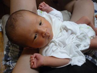 P1020107.jpg