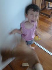 P1020154.jpg