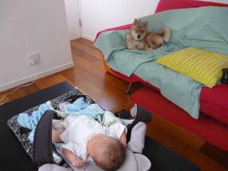 P1020563.jpg