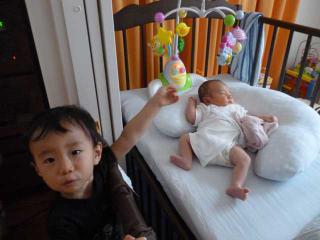 P1020786.jpg