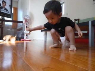 P1030005.jpg