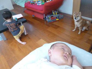 P1030319.jpg