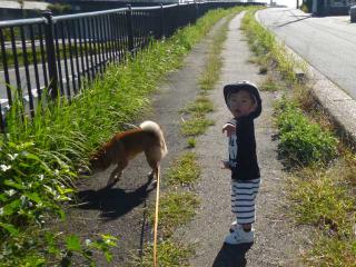 P1030697.jpg