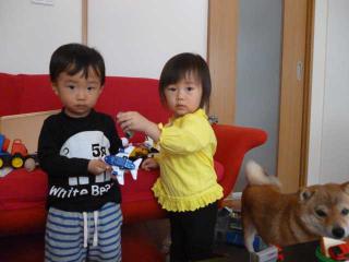 P1030853.jpg