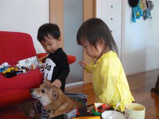 P1030855.jpg