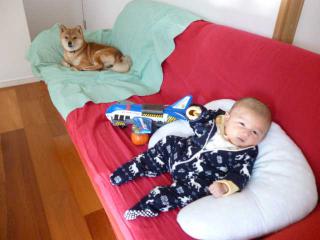 P1040191.jpg
