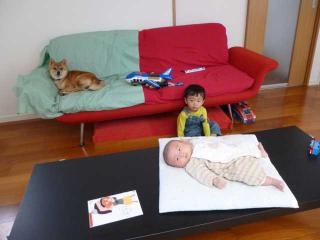 P1040193.jpg