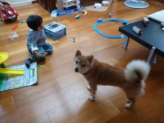 P1040208.jpg