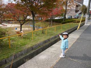 P1040540.jpg