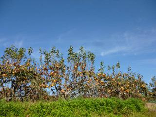P1040591.jpg