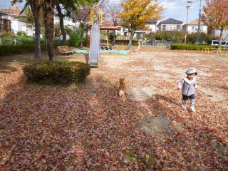 P1040756.jpg