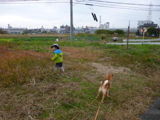 P1050013.jpg