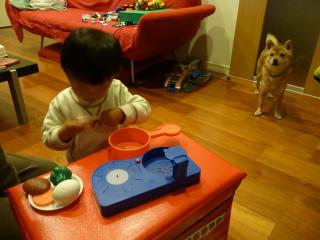 P1050216.jpg