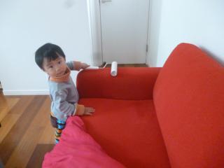 P1050606.jpg