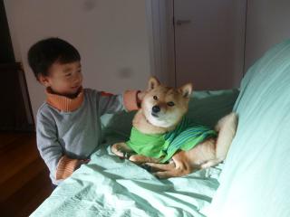 P1050614.jpg
