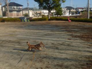 P1050627.jpg