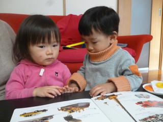 P1050638.jpg