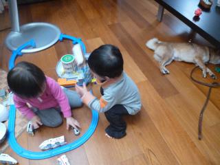 P1050641.jpg
