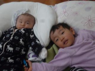 P1050663.jpg