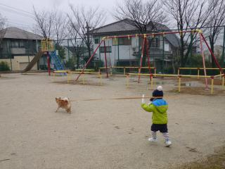 P1050679.jpg